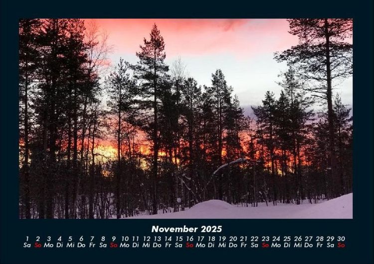 Produktbild: B&auml;ume 2025 Fotokalender DIN A4