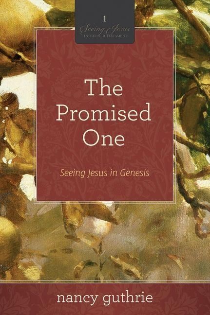 Produktbild: The Promised One