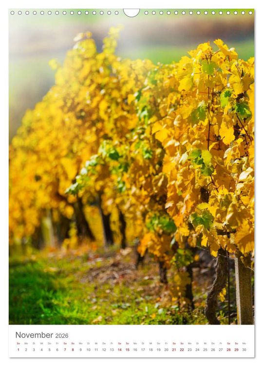 Produktbild: Weinjahr (Wandkalender 2026 DIN A3 hoch), CALVENDO Monatskalender