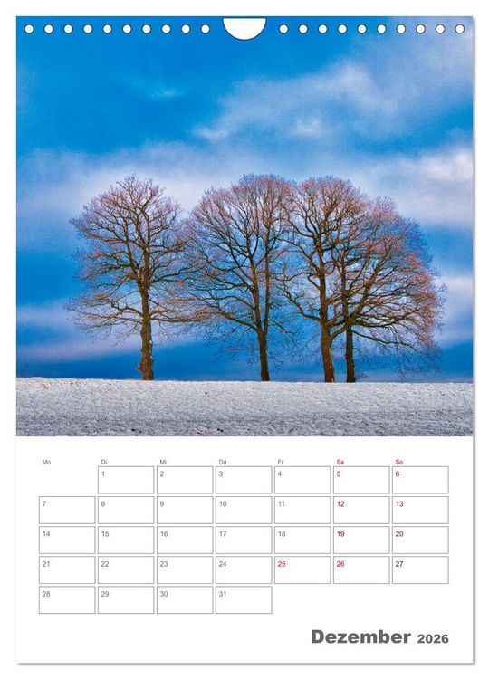 Produktbild: Planen mit dem Symbol der inneren St&auml;rke (Wandkalender 2026 DIN A4 hoch), CALVENDO Monatskalender