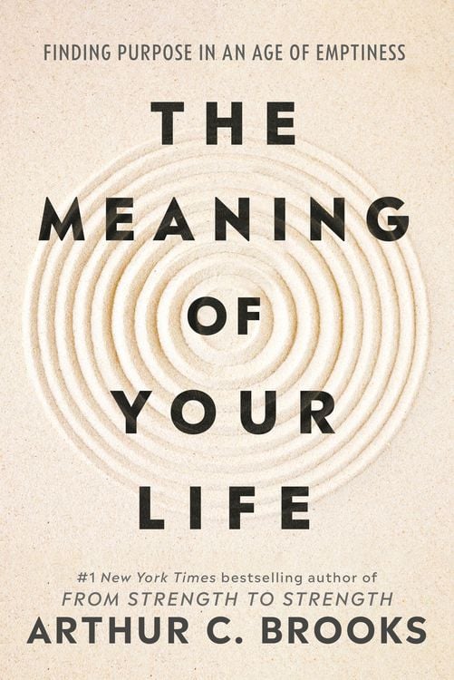 Produktbild: The Meaning of Your Life