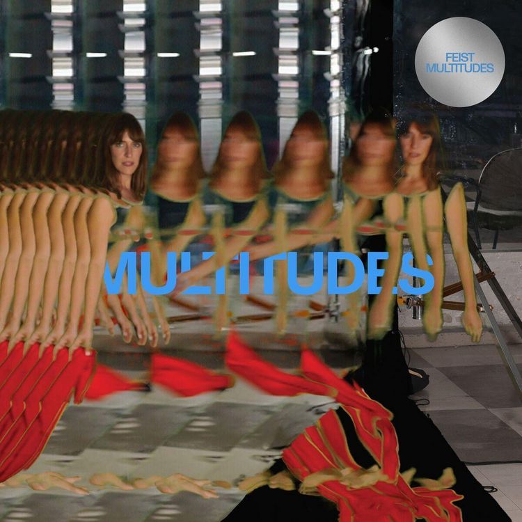 Produktbild: Multitudes