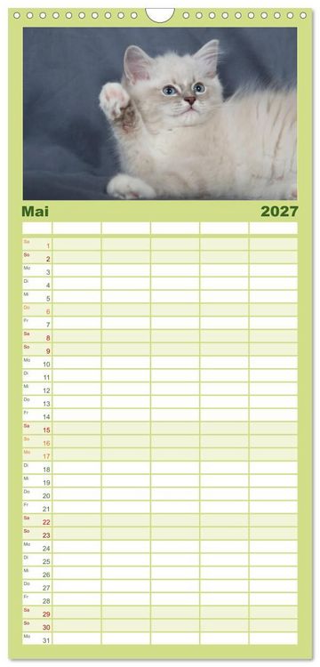 Produktbild: Familienplaner 2027 - Ragdoll Kitten mit 5 Spalten (Wandkalender, 21 x 45 cm) CALVENDO