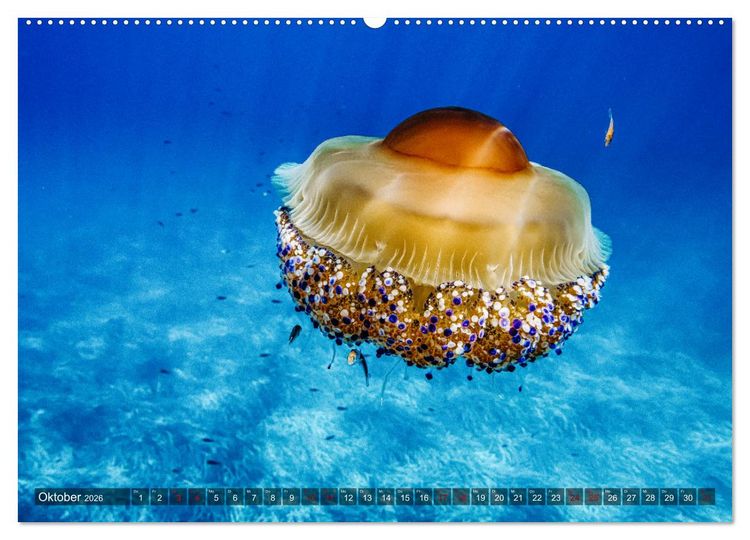 Produktbild: Bella Italia - Berge und Meer (hochwertiger Premium Wandkalender 2026 DIN A2 quer), Kunstdruck in Hochglanz