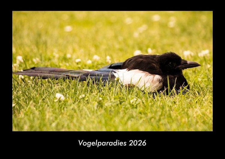 Produktbild: Vogelparadies 2026 Fotokalender DIN A3