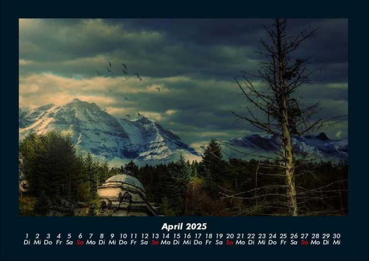 Produktbild: B&auml;ume 2025 Fotokalender DIN A4