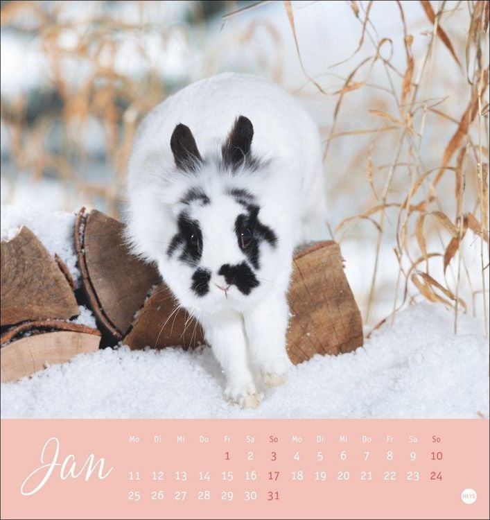 Produktbild: S&uuml;&szlig;e Kaninchen Postkartenkalender 2027