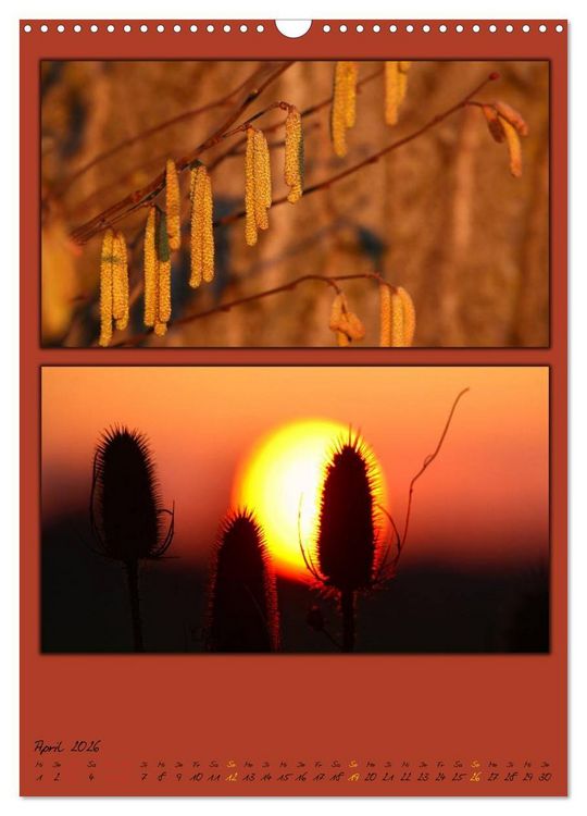 Produktbild: Farbtupferl der Natur (Wandkalender 2026 DIN A3 hoch), CALVENDO Monatskalender