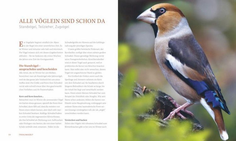 Produktbild: Ein Garten voller V&ouml;gel