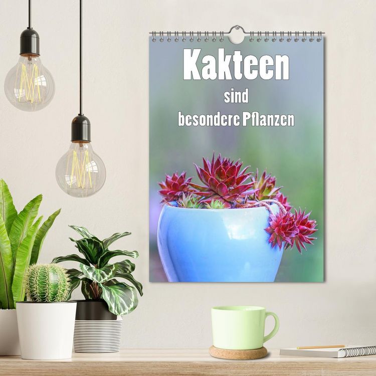 Produktbild: Kakteen sind besondere Pflanzen (Wandkalender 2026 DIN A4 hoch), CALVENDO Monatskalender