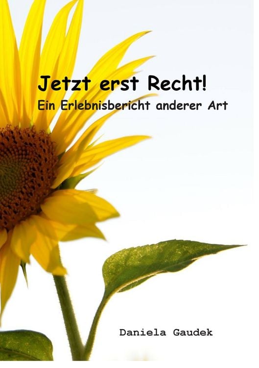 Produktbild: Jetzt erst Recht!