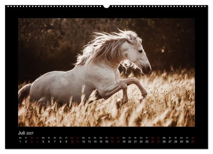 Produktbild: Die Faszinierende Welt der Pferde (hochwertiger Premium Wandkalender 2027 DIN A2 quer), Kunstdruck in Hochglanz