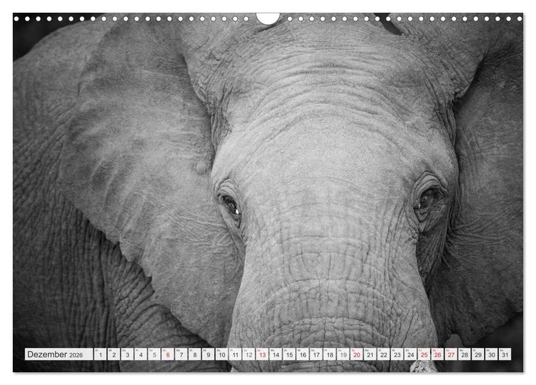 Produktbild: Emotionale Momente: Elefanten in black & white (Wandkalender 2026 DIN A3 quer), CALVENDO Monatskalender