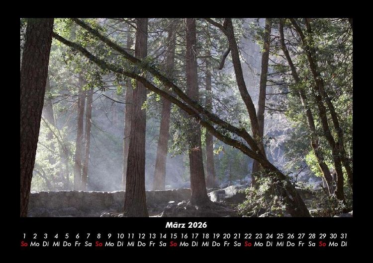 Produktbild: Bilder der Natur 2026 Fotokalender DIN A3