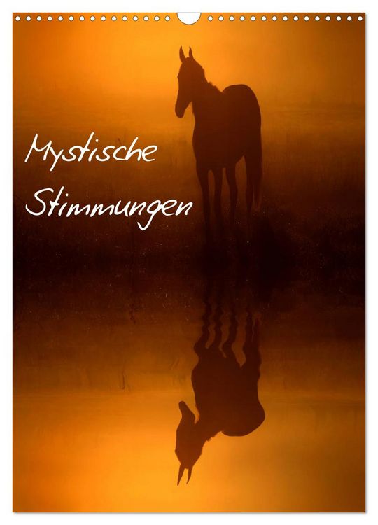 Produktbild: Mystische Stimmungen (Wandkalender 2026 DIN A3 hoch), CALVENDO Monatskalender