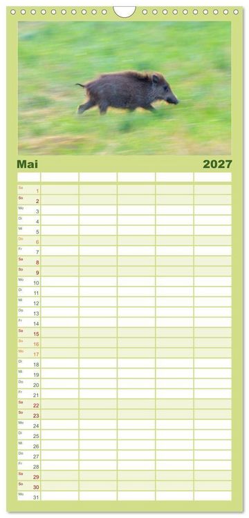 Produktbild: Familienplaner 2027 - Wildschweine &ndash; Wildlife Fotografien mit 5 Spalten (Wandkalender, 21 x 45 cm) CALVENDO