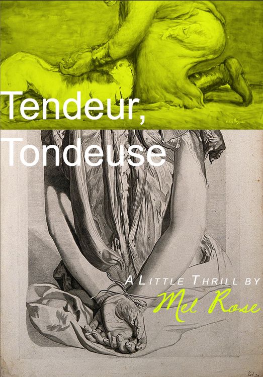 Produktbild: Tendeur, Tondeuse