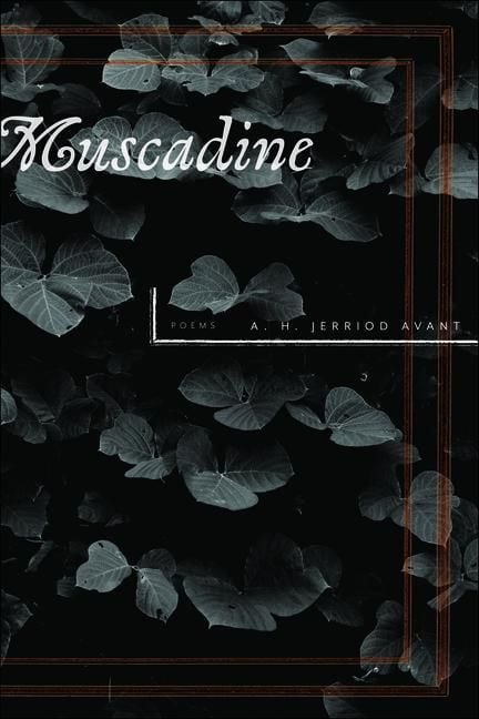 Produktbild: Muscadine