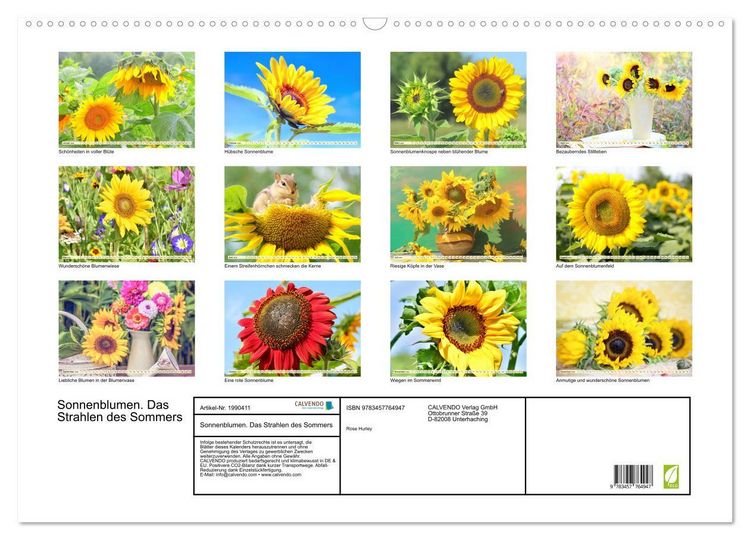 Produktbild: Sonnenblumen. Das Strahlen des Sommers (Wandkalender 2026 DIN A2 quer), CALVENDO Monatskalender