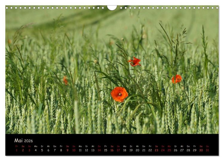 Produktbild: Just Mohn (Wandkalender 2026 DIN A3 quer), CALVENDO Monatskalender