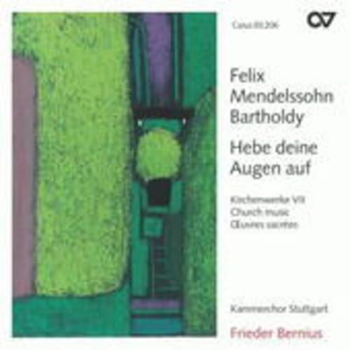 Produktbild: Hebe Deine Augen Auf-Kirchenwerke Vol.VII