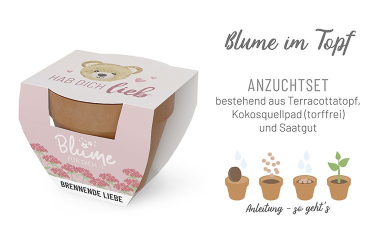 Blume FD D5,5H5 Teddy kaufen