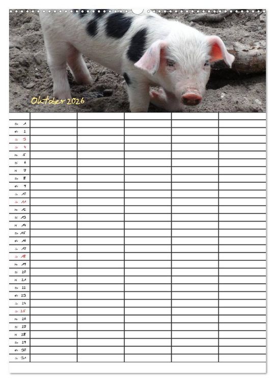 Produktbild: Bauernhoftiere Familienplaner (Wandkalender 2026 DIN A2 hoch), CALVENDO Monatskalender