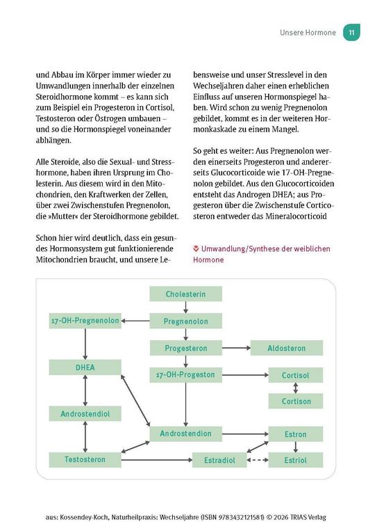 Produktbild: Naturheilpraxis Wechseljahre