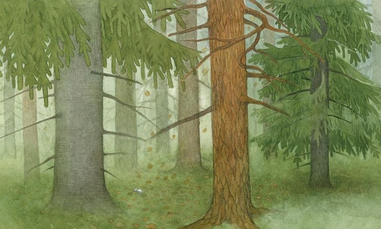 Produktbild: Die tanzende Waldmaus