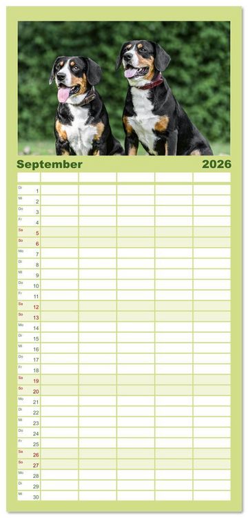 Produktbild: Familienplaner 2026 - Entlebucher - Temperamentvolle Schweizer Sennenhunde mit 5 Spalten (Wandkalender, 21 x 45 cm) CALVENDO