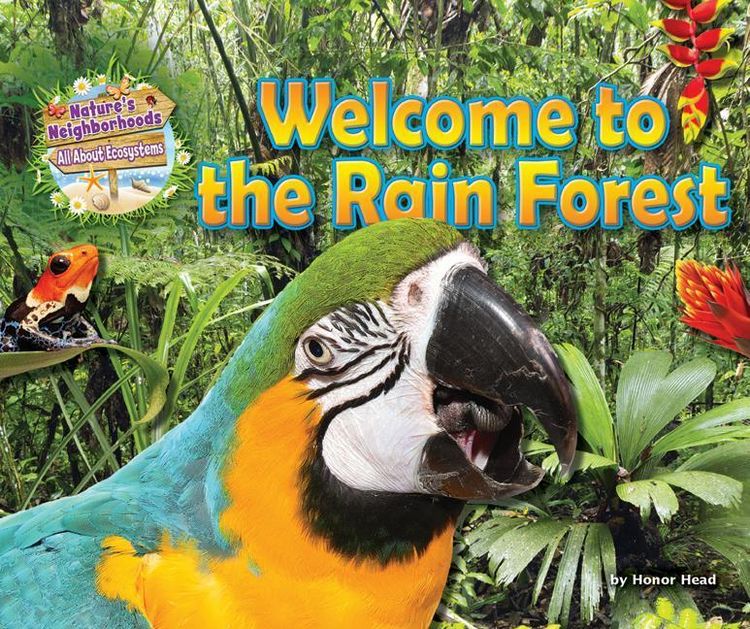 Produktbild: Welcome to the Rain Forest