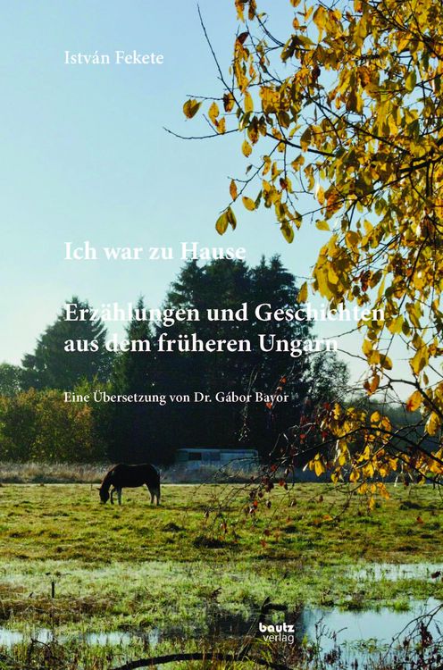 Produktbild: Istv&aacute;n Fekete - Ich war zu Hause