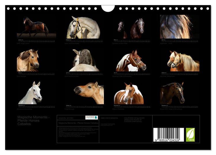 Produktbild: Magische Momente - Pferde Horses Caballos (Wandkalender 2026 DIN A4 quer), CALVENDO Monatskalender