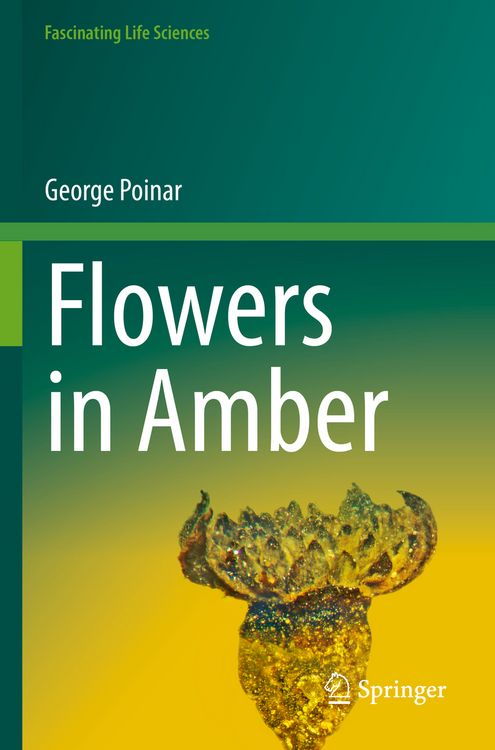 Produktbild: Flowers in Amber