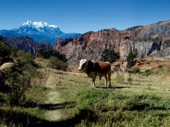 Produktbild: CALVENDO Puzzle Canyon de Palca, 3.465 m &uuml;. M., Bolivien | 1000 Teile Lege-Gr&ouml;&szlig;e 64x48cm Foto-Puzzle f&uuml;r gl&uuml;ckliche Stunden