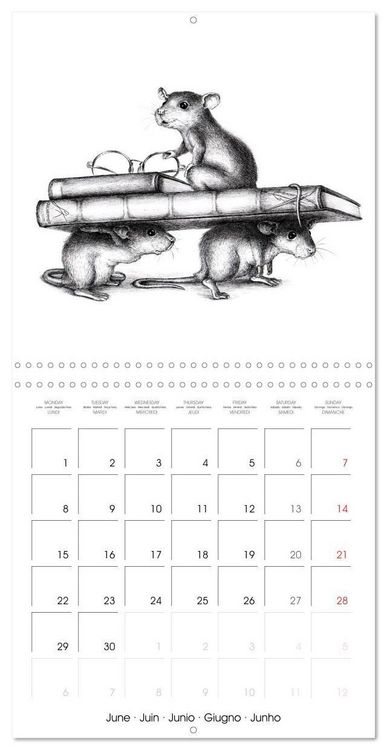 Produktbild: owls and mates 2026 (Wall Calendar 2026 12 &times; 12 Inch) CALVENDO 12 Month Wall Calendar