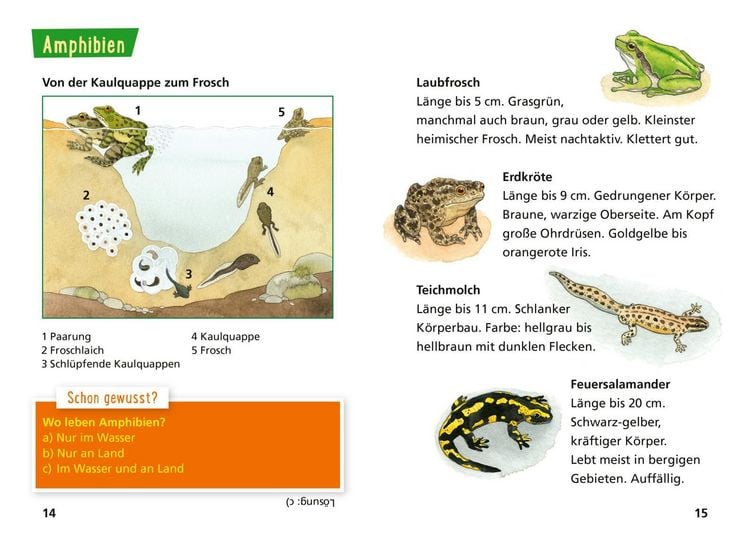 Produktbild: Pixi Wissen 30: Tiere erkennen