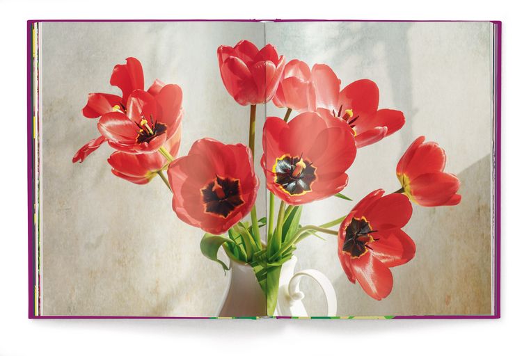 Produktbild: Floramour: Tulips