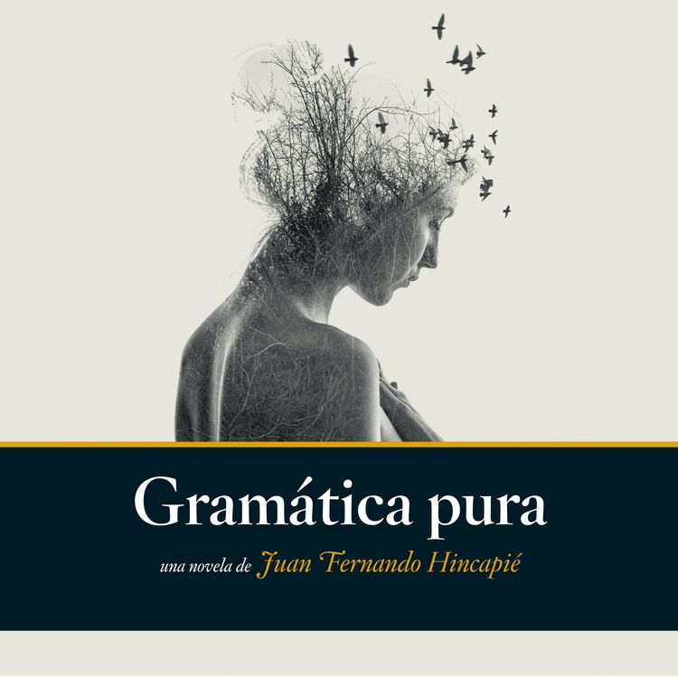 Produktbild: Gramática pura