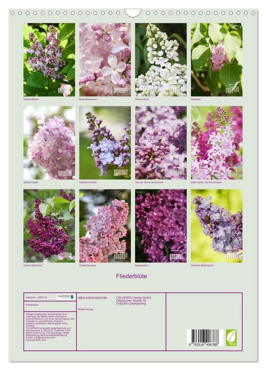 Produktbild: Fliederbl&uuml;te (Wandkalender 2026 DIN A3 hoch), CALVENDO Monatskalender