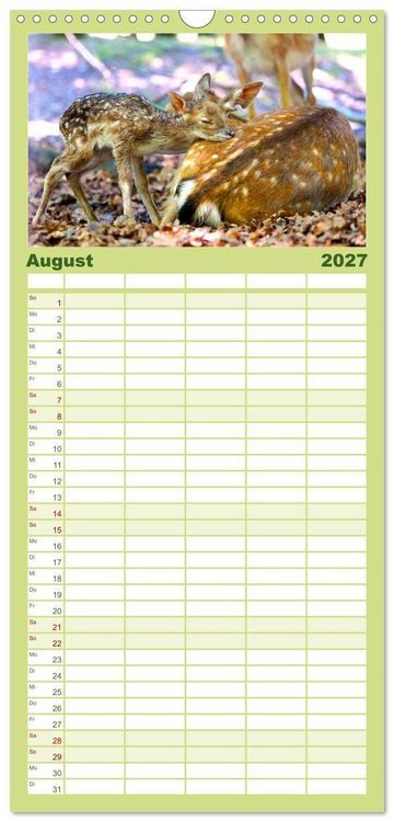 Produktbild: Familienplaner 2027 - Die Tiere des Waldes mit 5 Spalten (Wandkalender, 21 x 45 cm) CALVENDO