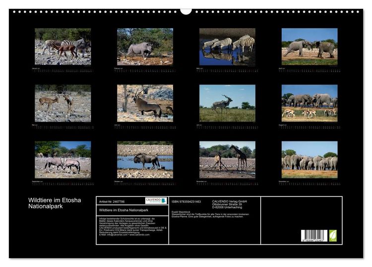Produktbild: Wildtiere im Etosha Nationalpark (Wandkalender 2027 DIN A2 quer), CALVENDO Monatskalender