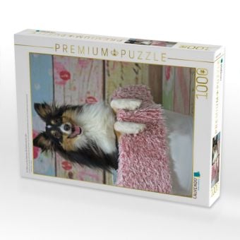 Produktbild: CALVENDO Puzzle Ein Motiv aus dem Kalender Mit Shelties durchs Jahr | 1000 Teile Lege-Gr&ouml;&szlig;e 64x48cm Foto-Puzzle f&uuml;r gl&uuml;ckliche Stunden