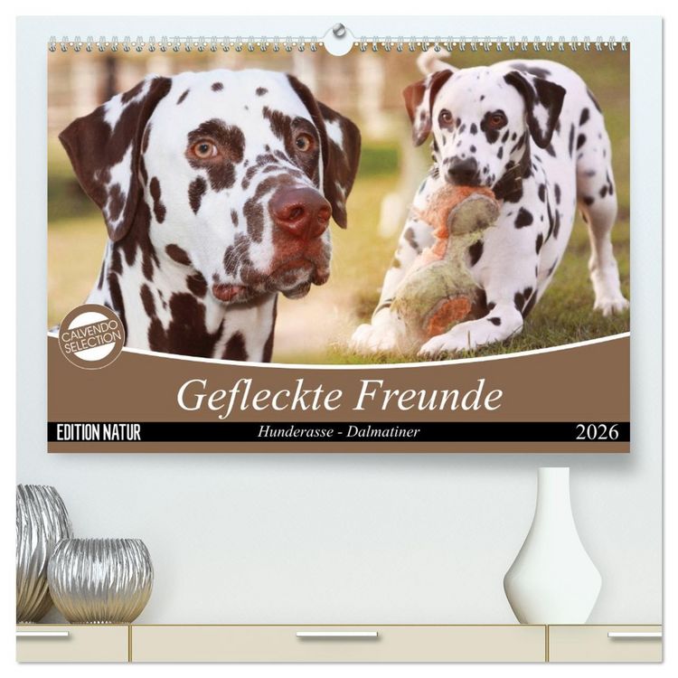 Produktbild: Gefleckte Freunde - Hunderasse Dalmatiner (hochwertiger Premium Wandkalender 2026 DIN A2 quer), Kunstdruck in Hochglanz