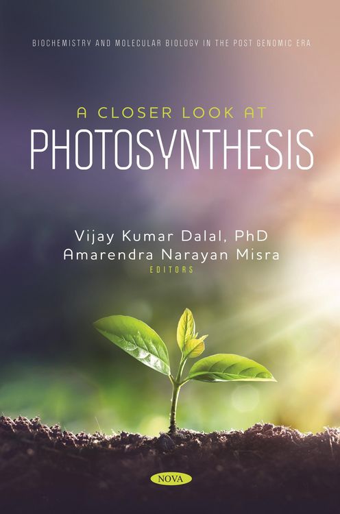 Produktbild: Closer Look at Photosynthesis