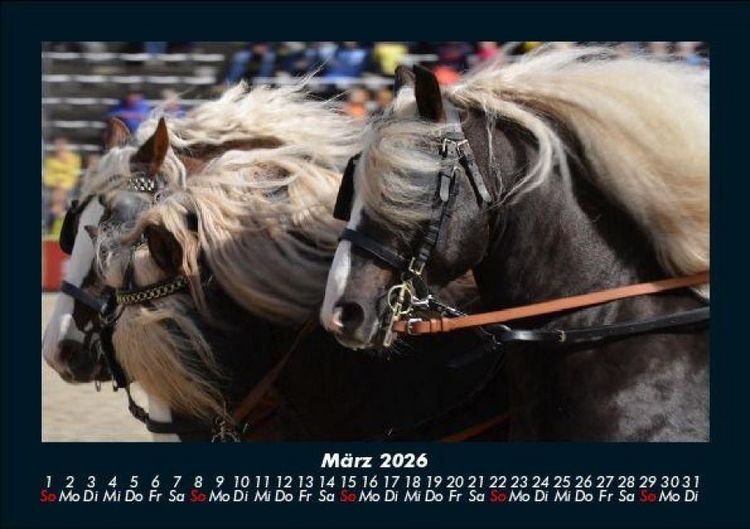 Produktbild: Die Welt der Pferde 2026 Fotokalender DIN A5