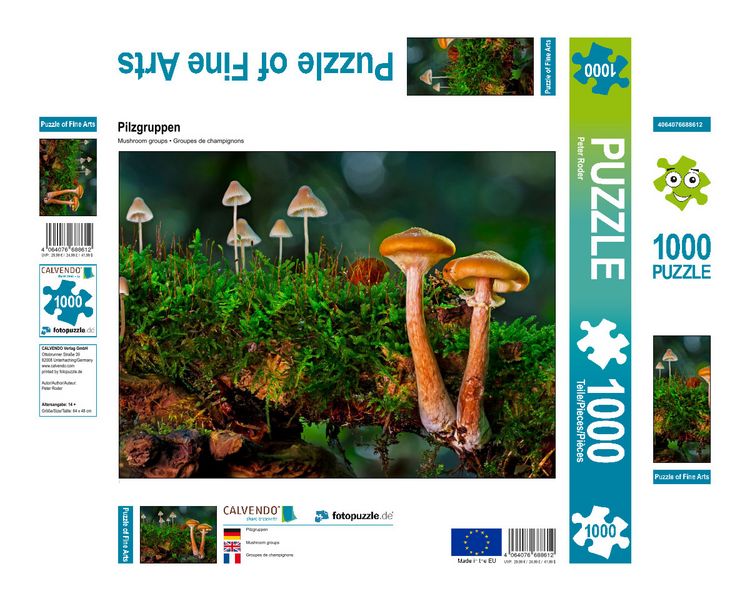 Produktbild: CALVENDO Puzzle Pilzgruppen 1000 Teile Lege-Gr&ouml;&szlig;e 640 x 480 cm Foto-Puzzle Bild von Peter Roder