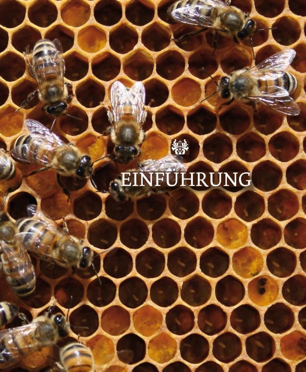 Produktbild: Honig