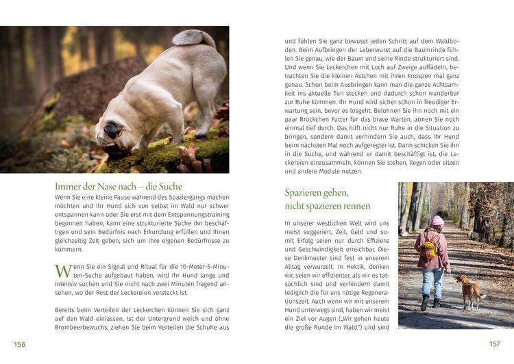 Produktbild: Waldsamkeit