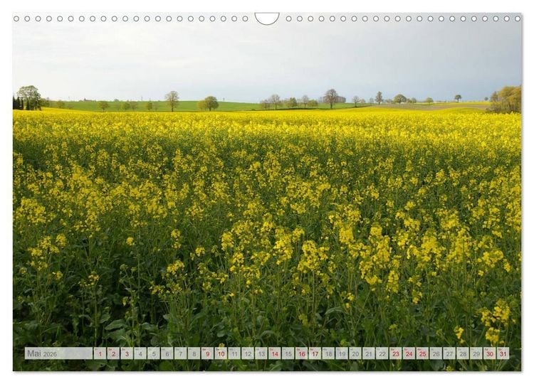 Produktbild: Natur-Paradies Mecklenburgische Schweiz (Wandkalender 2026 DIN A3 quer), CALVENDO Monatskalender